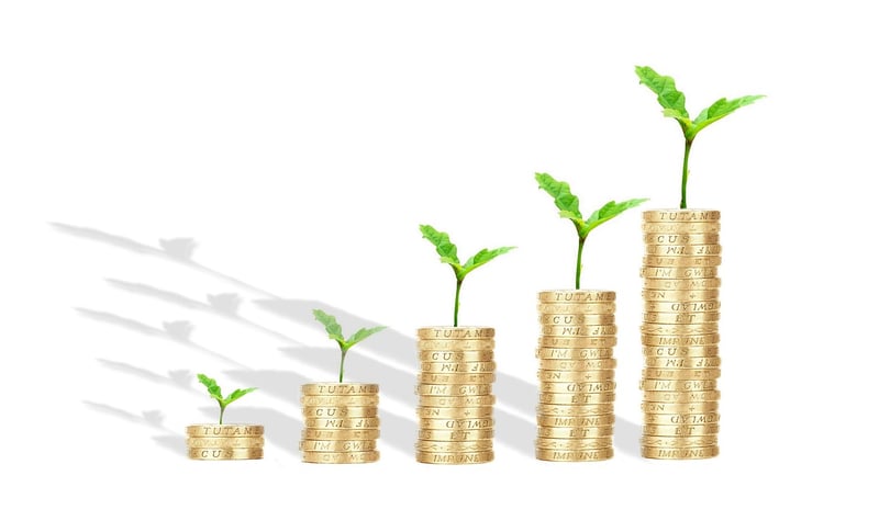 Asset Growth